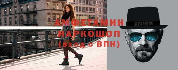 сатива Беломорск