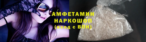 сатива Беломорск