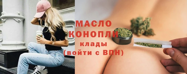 сатива Беломорск