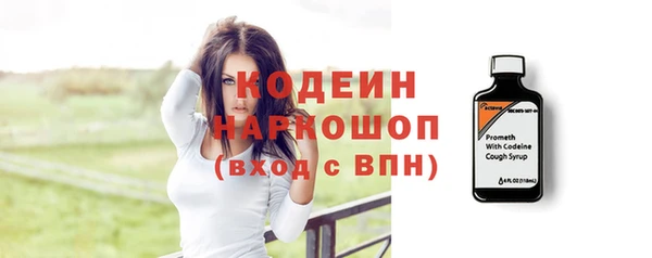 сатива Беломорск