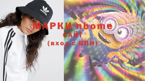 сатива Беломорск
