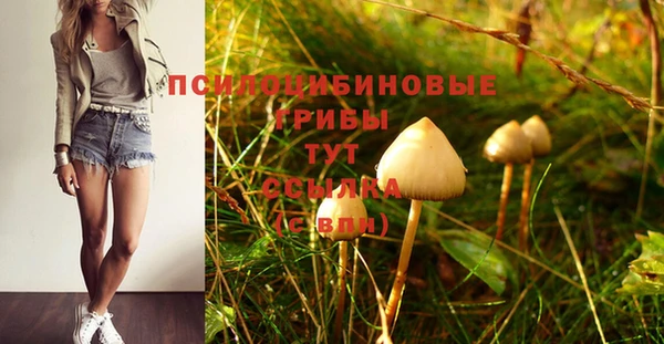 метадон Белоозёрский