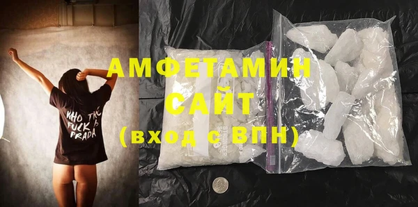 сатива Беломорск