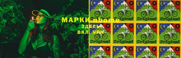 сатива Беломорск