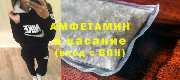 сатива Беломорск