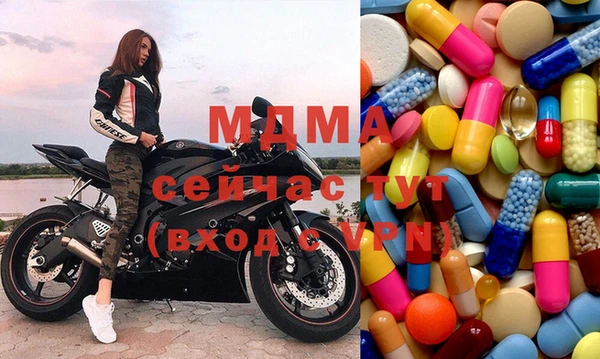 сатива Беломорск