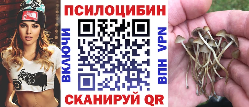 Галлюциногенные грибы мицелий  Купить  Пласт 